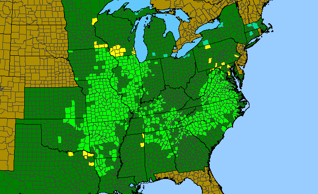 The range of Parthenium integrifolium